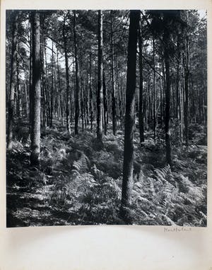 AcheterCas Oorthuys - Montferland - originele foto op bariet-fotopapier? Enchérissez de 50!