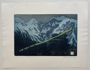 Sjoerd Bakker - kleurenets - 'De staf van de reiziger' - 1994 kopen? Bied vanaf 60!