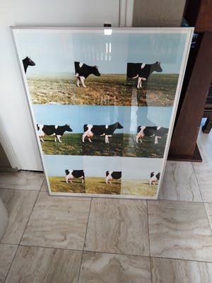 Jan Cremer - Hollands landschap in cresendo en decresendo [zeer groot] kopen? Bied vanaf 325!
