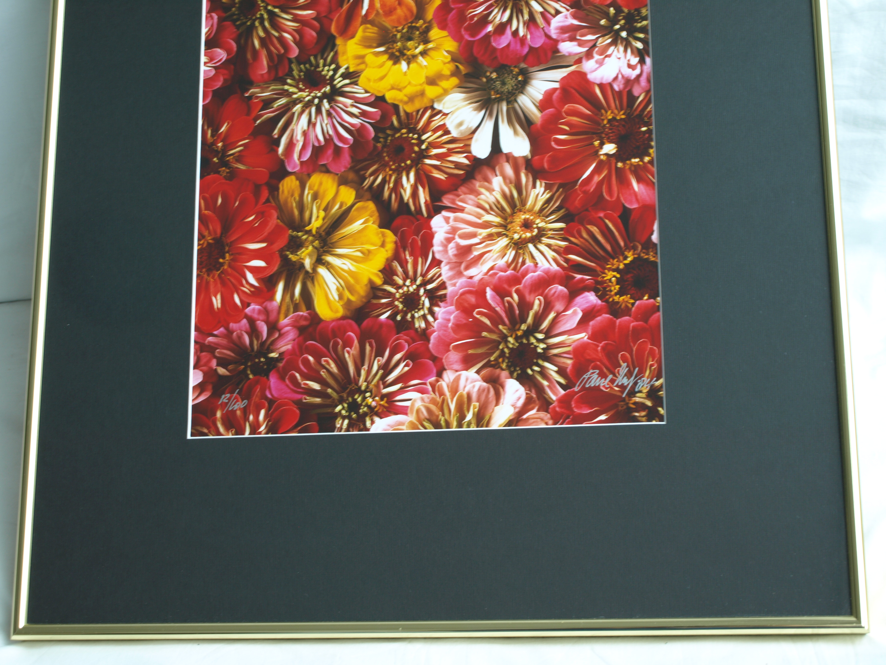 Paul Huf - Foto - Flowers – gesigneerd & ingelijst - 1984  kopen? Bied vanaf 125!