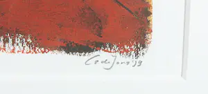 Cor de Jong - Zeefdruk, Contemplation - Ingelijst kopen? Bied vanaf 1!