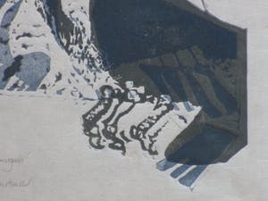 Jaap Ploos van Amstel - Neushoornvogels - Houtsnede kopen? Bied vanaf 45!