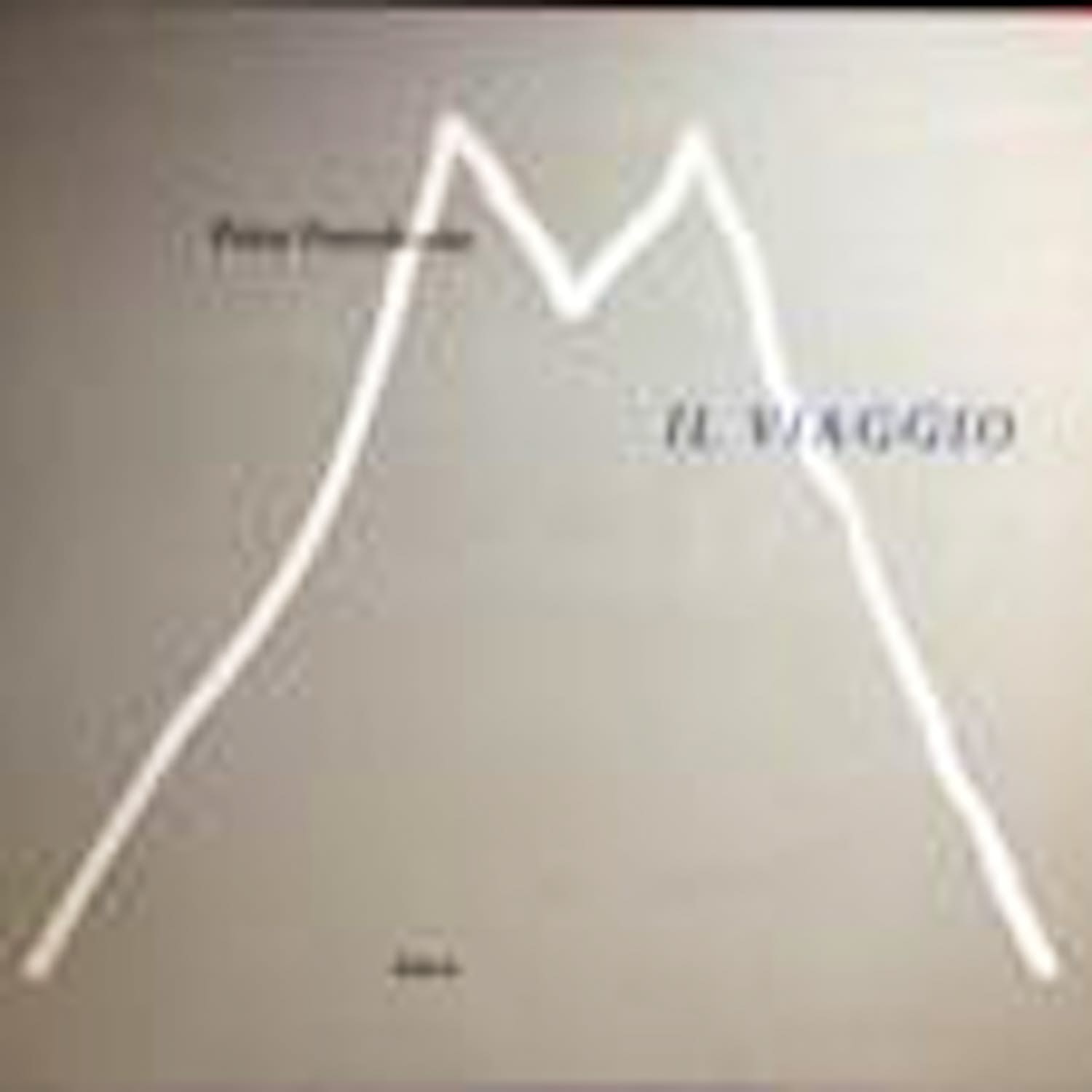 Peter Peereboom - IL VIAGGIO verkocht voor € 100!