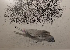 Dominique Ampe - Brief geschreven in mijn erotische tuin kopen? Bied vanaf 150!