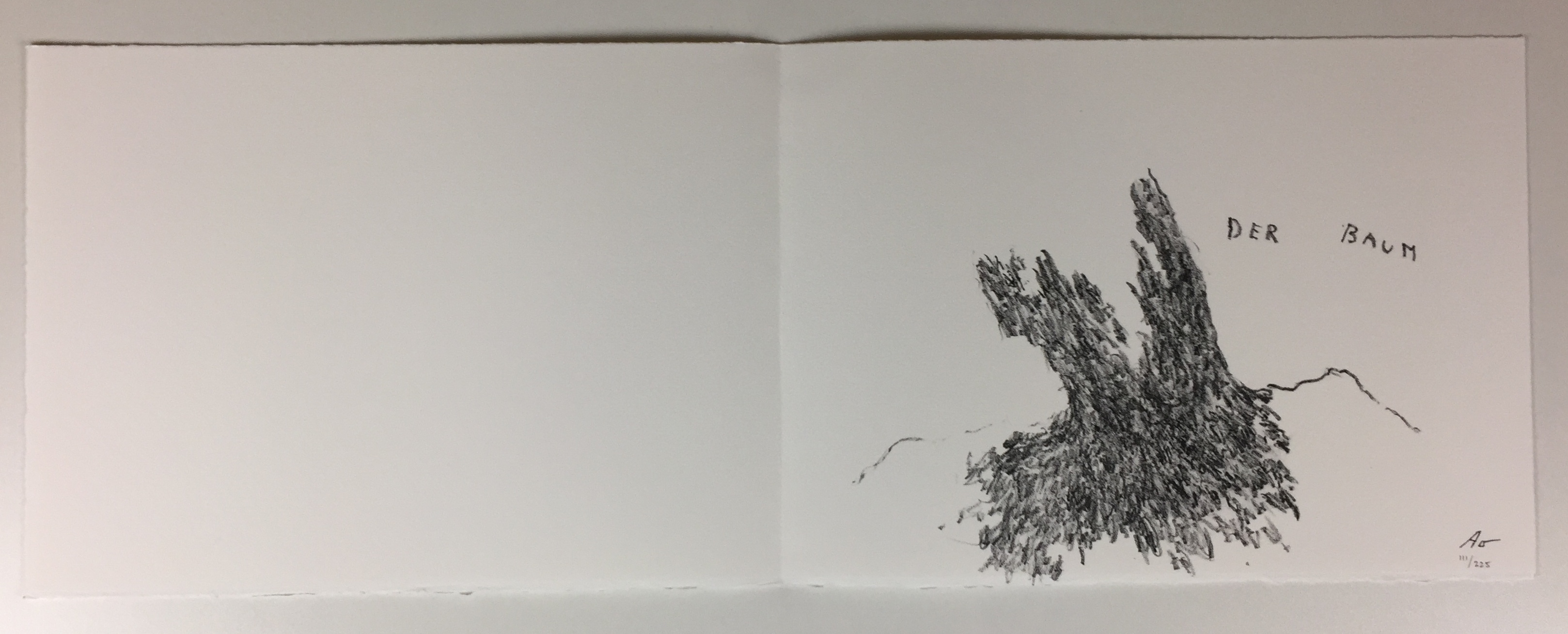 Armando - Portfolio Stichting de Roos, 'Zichzelf', incl. twee litho's 2013 (ZELDZAAM) kopen? Bied vanaf 425!