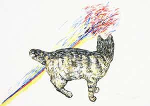 Roger Raveel - Zeefdruk, Felix vulgaris verkocht voor € 250!