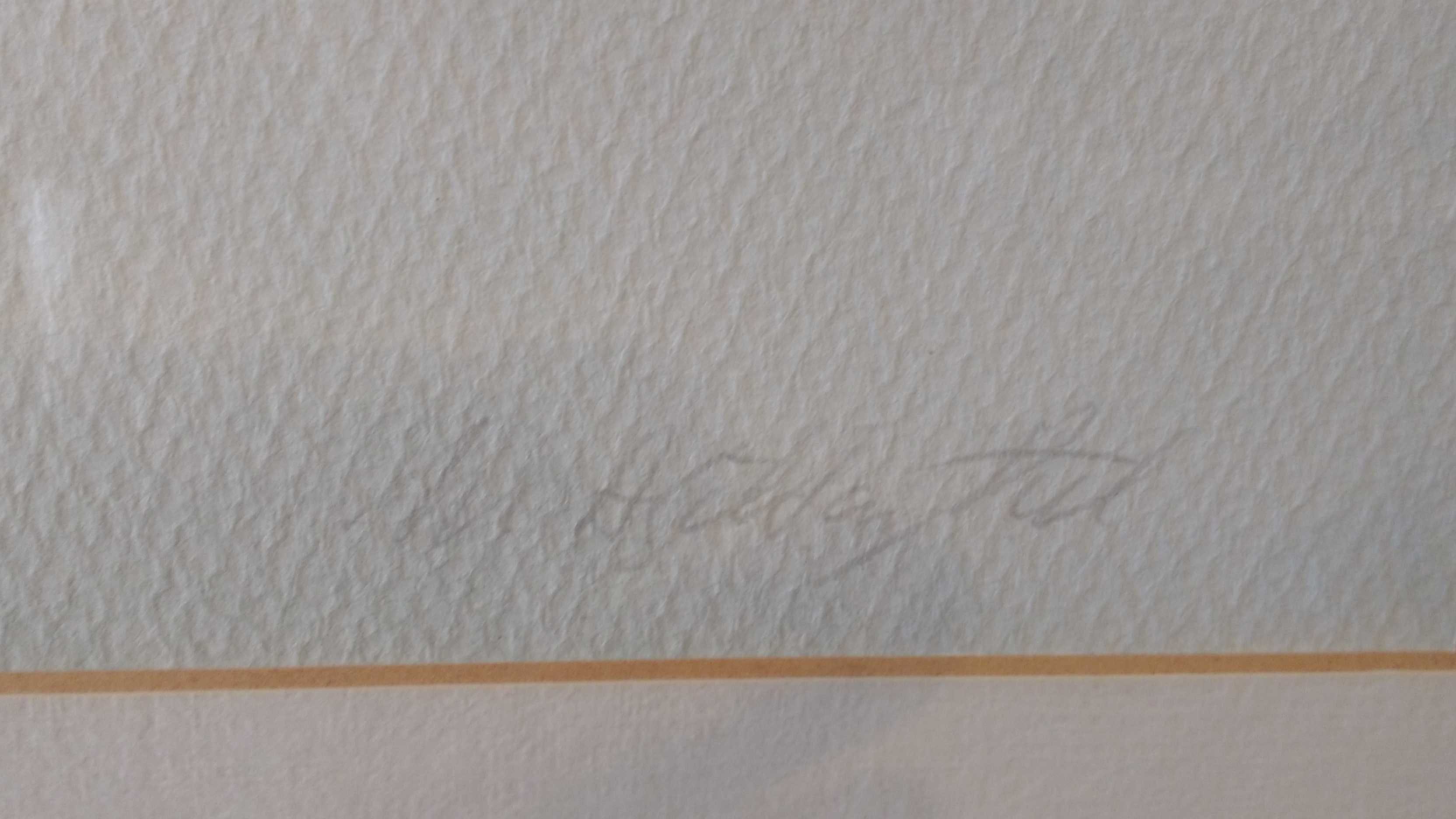 Niet of onleesbaar gesigneerd - Markerwaard kopen? Bied vanaf 1!