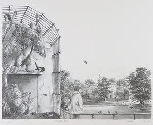 Peter Vos - Litho, Artis kopen? Bied vanaf 150!