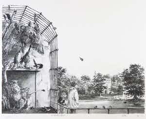 Peter Vos - Litho, Artis verkocht voor € 150!