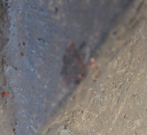 Niet of onleesbaar gesigneerd - Studio Keramische Avantgardistische theepot kopen? Bied vanaf 10!