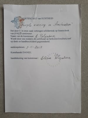 Elena Polyakova - Purple evening in Amsterdam kopen? Bied vanaf 125!