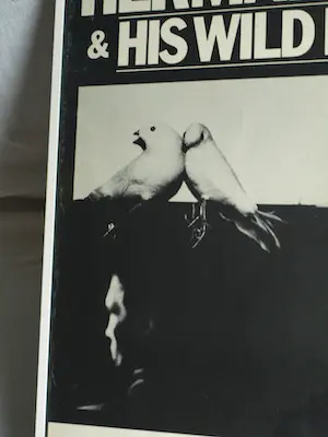 Herman Brood - Affiche , Herman Brood & His Wild Romance – 1988 – Coach Agency kopen? Bied vanaf 1!