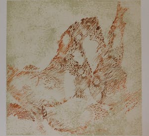 Dang Lebadang - Les Zèbres II kopen? Bied vanaf 25!