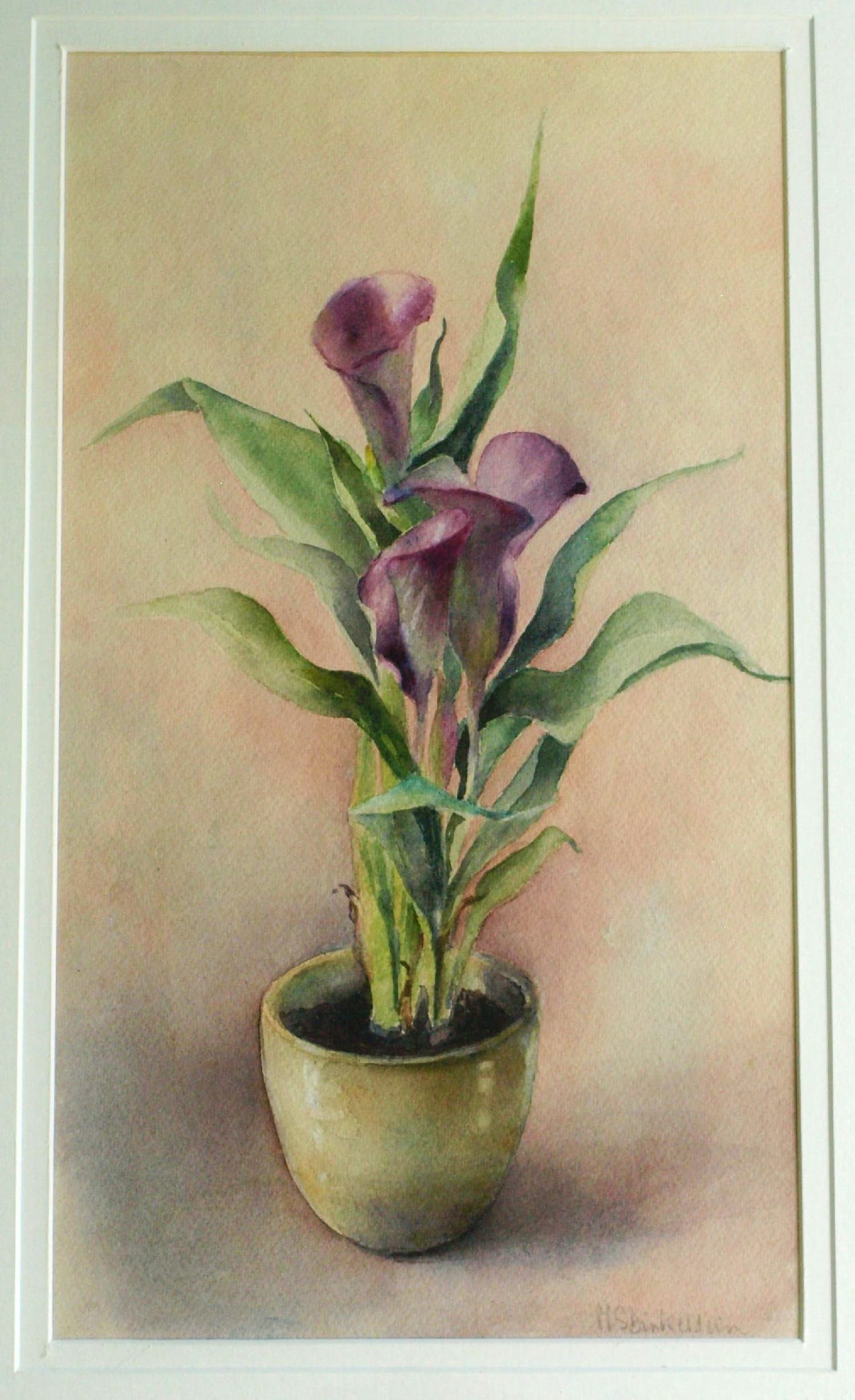 Niet of onleesbaar gesigneerd - Ingelijste aquarel , Bloemstilleven – onduidelijke signatuur… kopen? Bied vanaf 1!