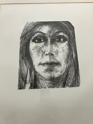 Paul Citroen - 12 lithografieën, compleet en ingelijst kopen? Bied vanaf 150!