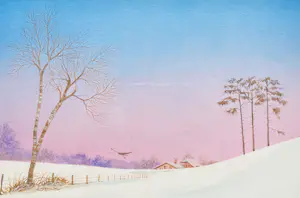 Ari Stolk - Winterlandschap kopen? Bied vanaf 125!