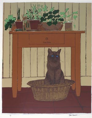 Hans Almekinders - Zeefdruk, Kat in mand kopen? Bied vanaf 1!