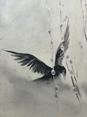 Han van Meegeren - Aalscholver. Zwarte vogel. kopen? Bied vanaf 59!