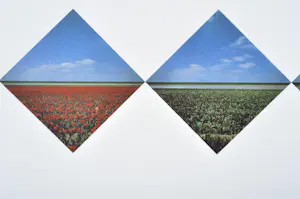 Ger Dekkers - Bulb-fields, Noordoostpolder, Holland - offset - 49x64 cm - 1979 kopen? Bied vanaf 50!