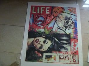 Peter Klashorst - zeefdruk , getiteld LIfe 16/90 kopen? Bied vanaf 35!