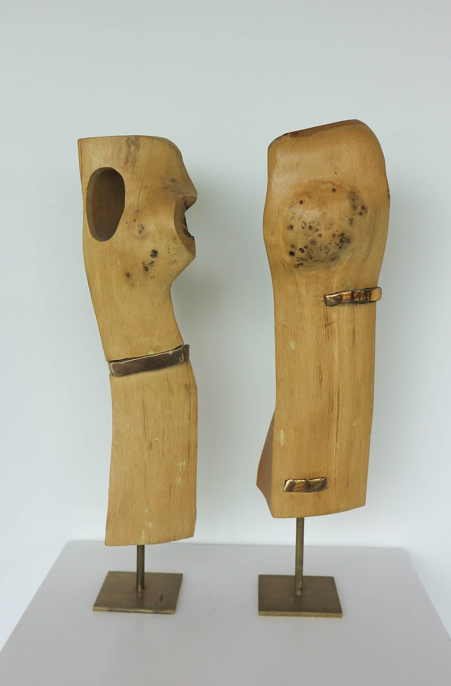 Frans Kokshoorn - Set van twee sculpturen van hout met metalen elementen kopen? Bied vanaf 200!