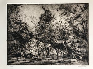 Wim Steijn - landschap/bos kopen? Bied vanaf 15!