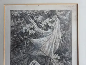 Johann Elias Ridinger - Vier gravures. Jachthonden. Ingelijst. kopen? Bied vanaf 160!