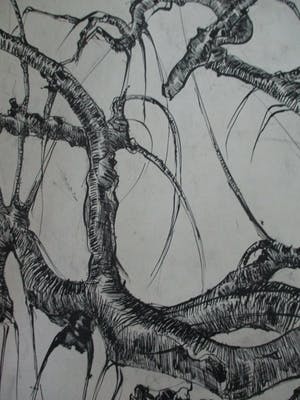 Frits van der Zander - Boomstudie kopen? Bied vanaf 15!