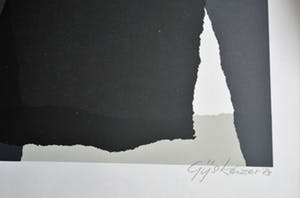 Gijs Keizer - 2 zeefdrukken. ZT kopen? Bied vanaf 60!