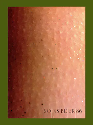 Diverse kunstenaars - Sonsbeek 1986 kopen? Bied vanaf 30!