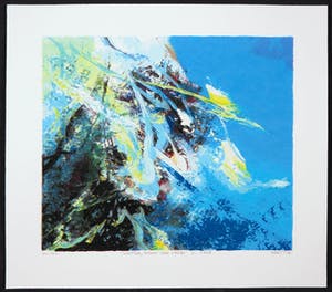 Mattie Schilders - Zeefdruk, Water, Bron van leven 2 kopen? Bied vanaf 1!