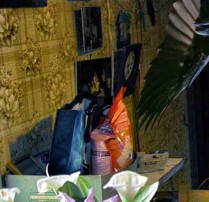 Lionel Morateur - Cendrillon kopen? Bied vanaf 50!