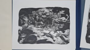 Jan Mensinga - De Schepping - 7 handgesigneerde litho's kopen? Bied vanaf 110!