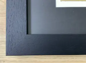 Corneille - Au Soleil avec Oiseau et chat kopen? Bied vanaf 365!