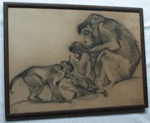 Tini van Doornik - Ingelijste houtskooltekening , Drie apen – 1930 – Lijst, 41½ x 57½ cm. kopen? Bied vanaf 100!