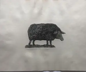 Arja van den Berg - Schaap kopen? Bied vanaf 35!