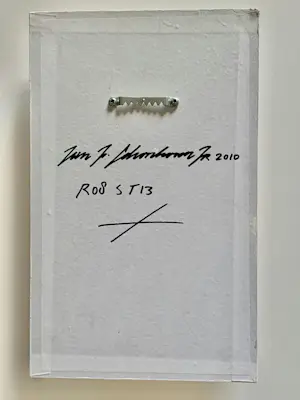 Jan Schoonhoven Jr. - 2010 R08 ST13 kopen? Bied vanaf 175!