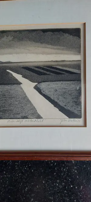 Jelus Matser - Assendelft Ochtendlicht kopen? Bied vanaf 60!