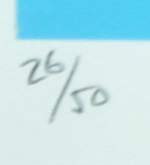 Sam Middleton - Zeefdruk, Harmonics - Ingelijst kopen? Bied vanaf 35!