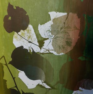 Reinoud van Vught - Zonder Titel kopen? Bied vanaf 200!