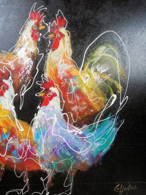 Caspar van Houten - kippen kopen? Bied vanaf 100!