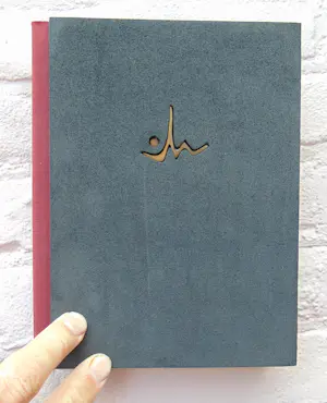 Jef Wishaupt - Beeldend kunstenaar kopen? Bied vanaf 50!