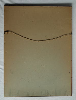 Honore Daumier - Ingelijste litho , spotprent advocatuur "Types Et Physionomies" kopen? Bied vanaf 40!