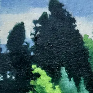 Willem Visser - Bosgezicht kopen? Bied vanaf 75!