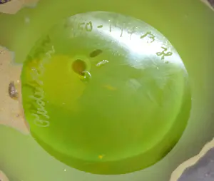 Bernard Heesen - Rauw kannetje kopen? Bied vanaf 50!