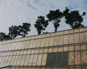 Anne-Meike van Willegen - Foto, Bomen met goud (Hongkong) - Ingelijst kopen? Bied vanaf 20!