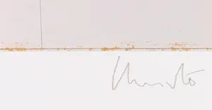 Christo - Handgesigneerd exemplaar The Pont Neuf Wrapped met stofmonster - Ingelijst (Groot) kopen? Bied vanaf 1!