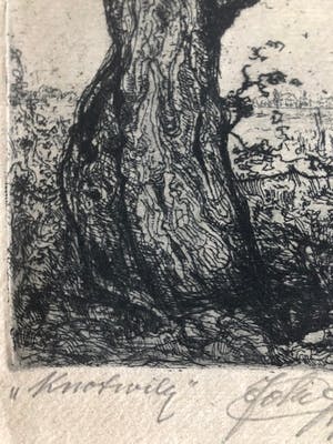 Johan D. Scherft - Knotwilg in hollands landschap kopen? Bied vanaf 20!