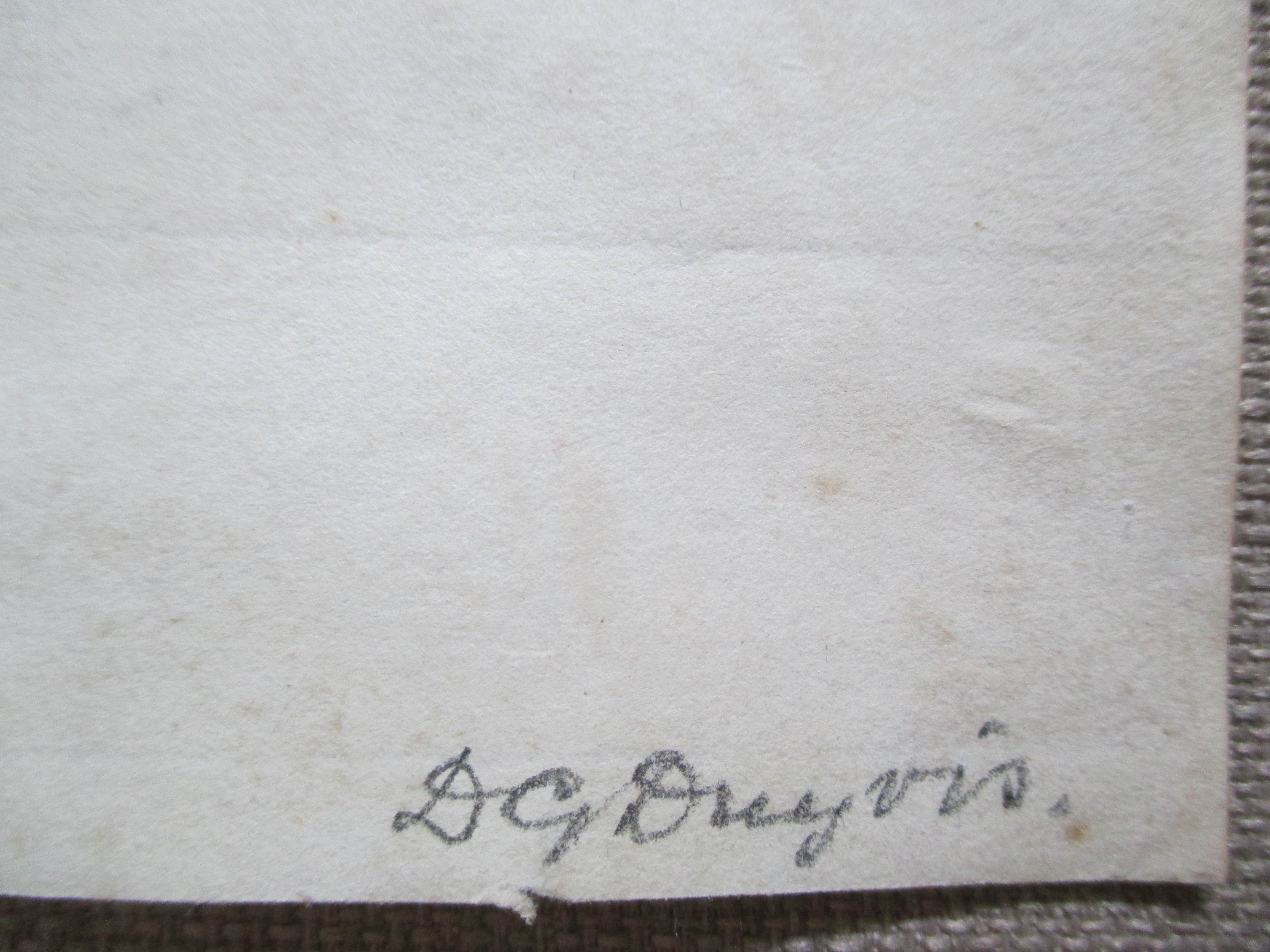 Debora Duyvis - ets boerderijerf kopen? Bied vanaf 20!