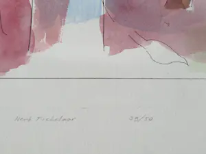 Henk Tichelaar - Grote, met ecoline gekleurde ETS "Bosprent" - kleine oplage (50) - gesigneerd kopen? Bied vanaf 38!